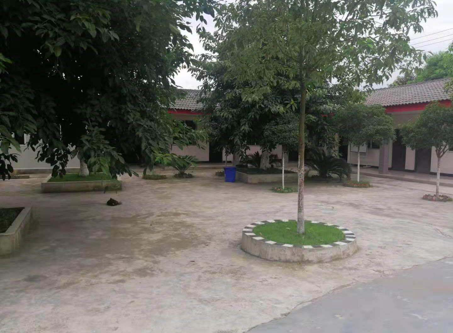 四川耐火磚廠家綠化環境展示